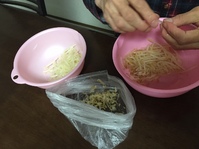 新着情報の画像